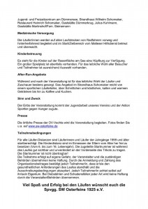 Dümmerlauf Ausschreibung3