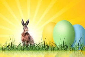Osterhase
